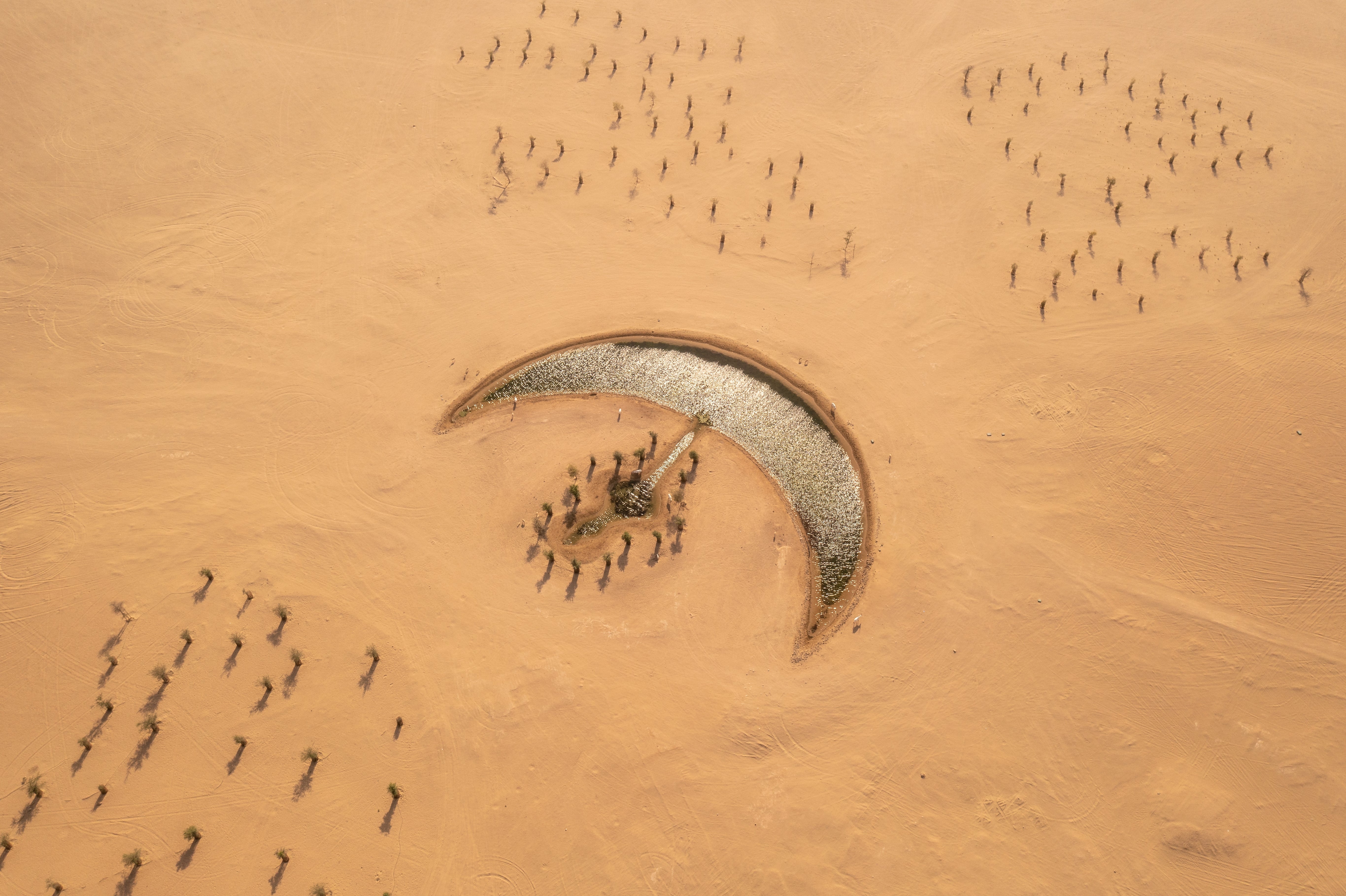 Moon of Ramadan UAE Skincare