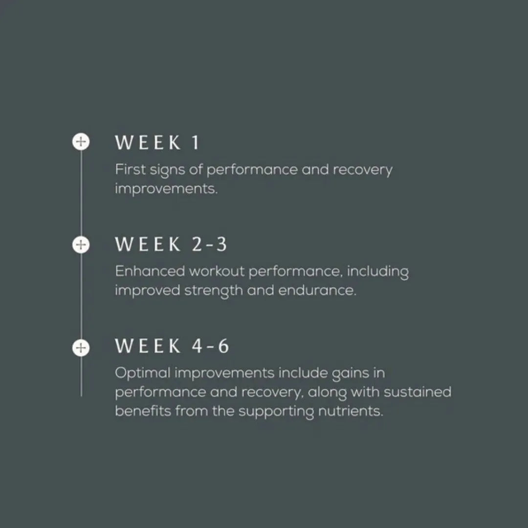 Ancient + Brave True Creatine+, 180g