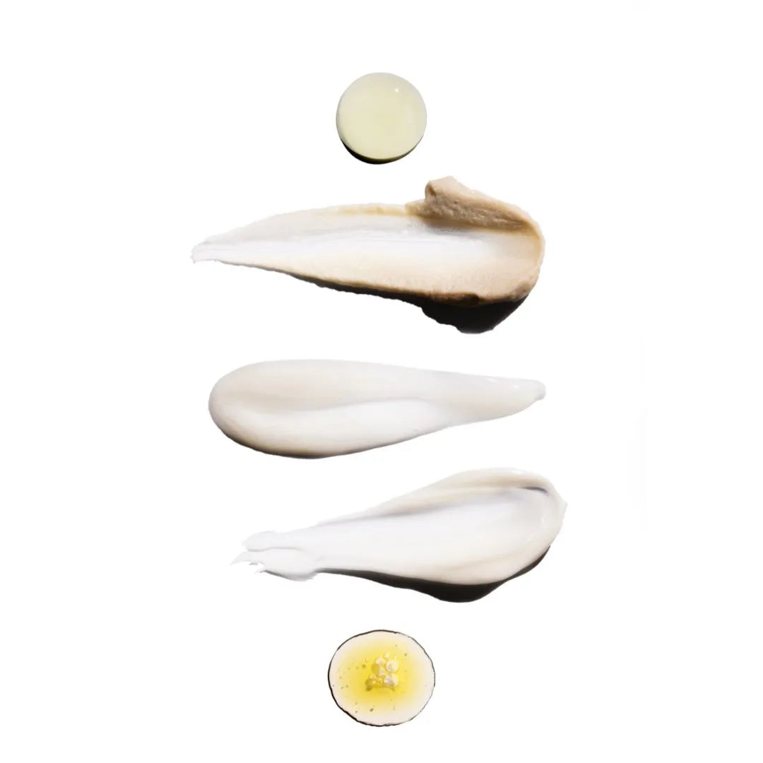 Decree Discovery Kit, 9 pieces