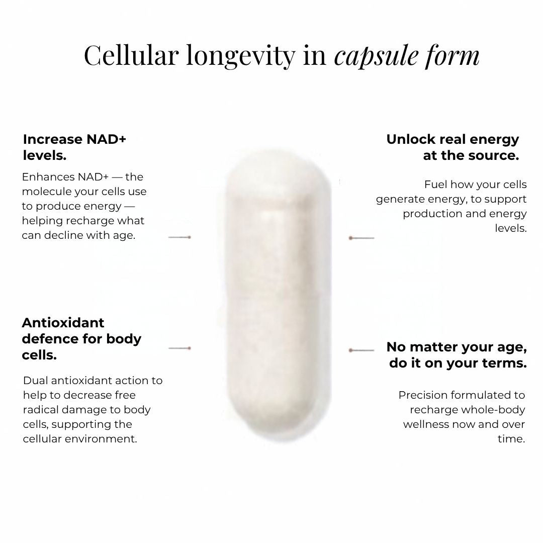 JSHealth NMN 500 + Resveratrol cellular longevity benefits for NAD+ levels, energy production and antioxidant support