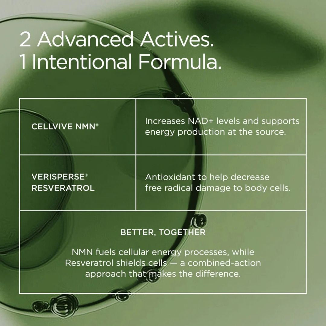 JSHealth NMN 500 + Resveratrol key actives CellVive NMN and VeriSperse Resveratrol for cellular energy and antioxidant support