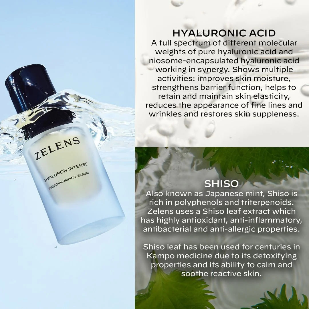 Zelens Hyaluron Intense Hydro-Plumping Serum 30ml – key ingredient infographic: hyaluronic acid and Shiso on light blue background