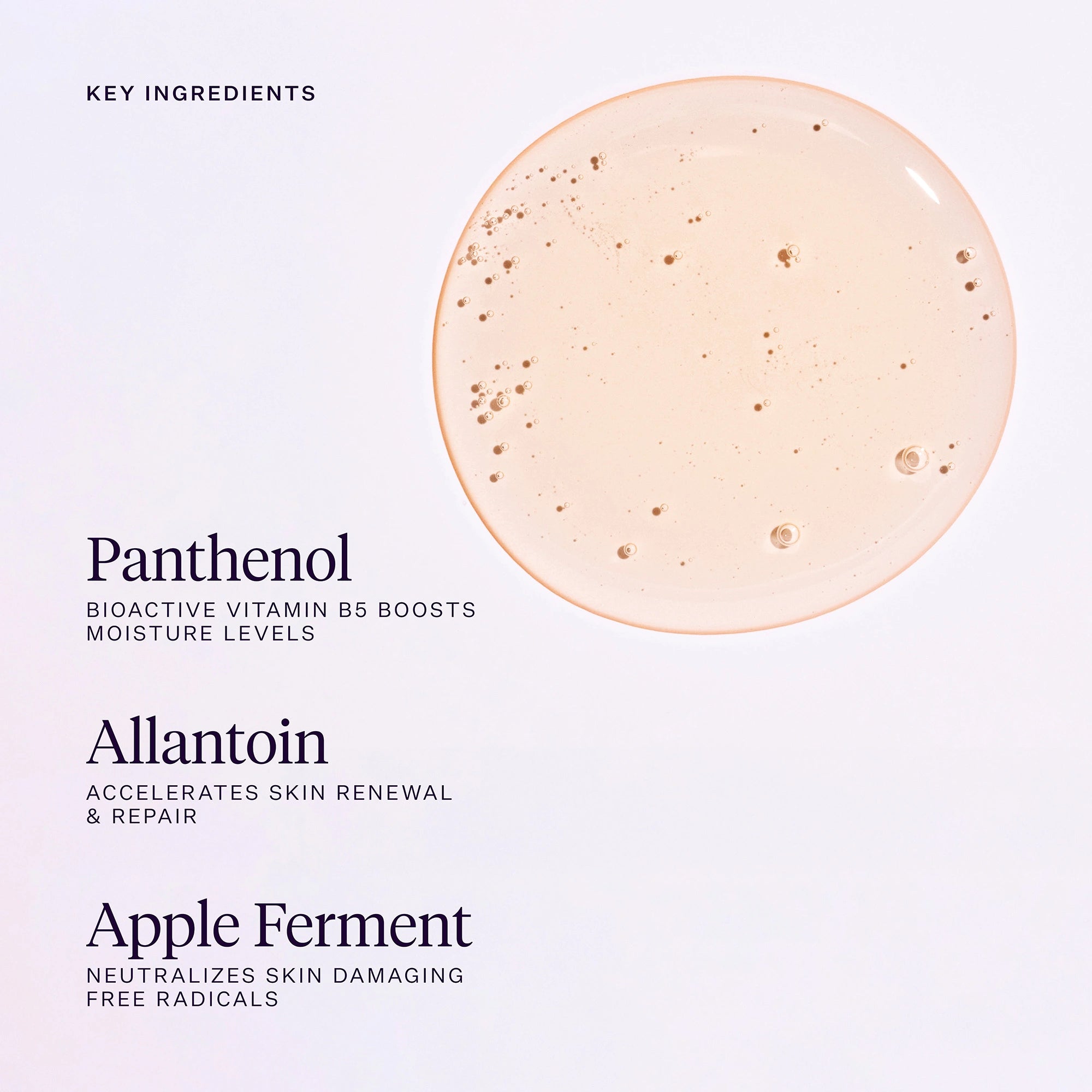 Joonbryd Palm Wild Hand Wash