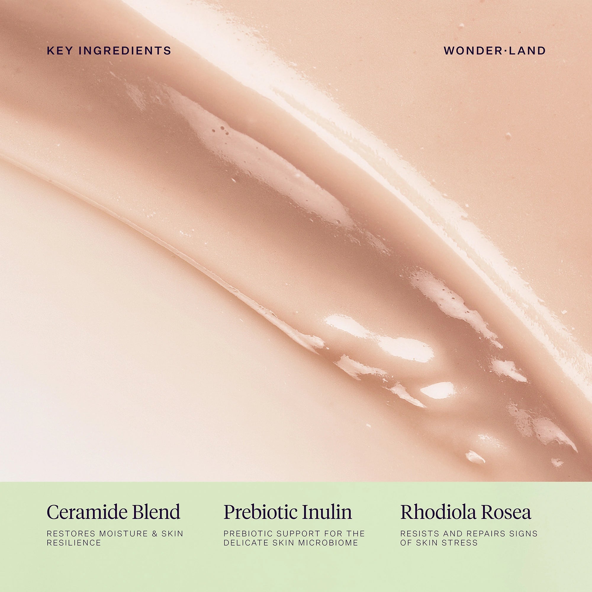 Joonbyrd Wonder Land Hand Lotion