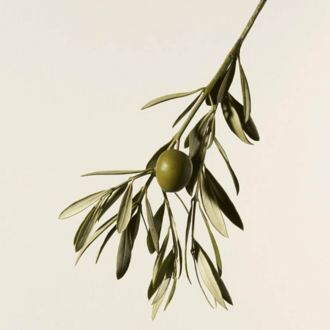 Zelens 3T Complex Anti Ageing Natural