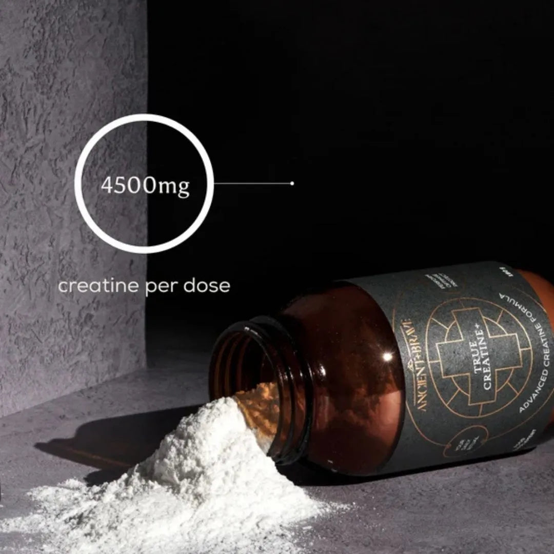 Ancient + Brave True Creatine+, 180g