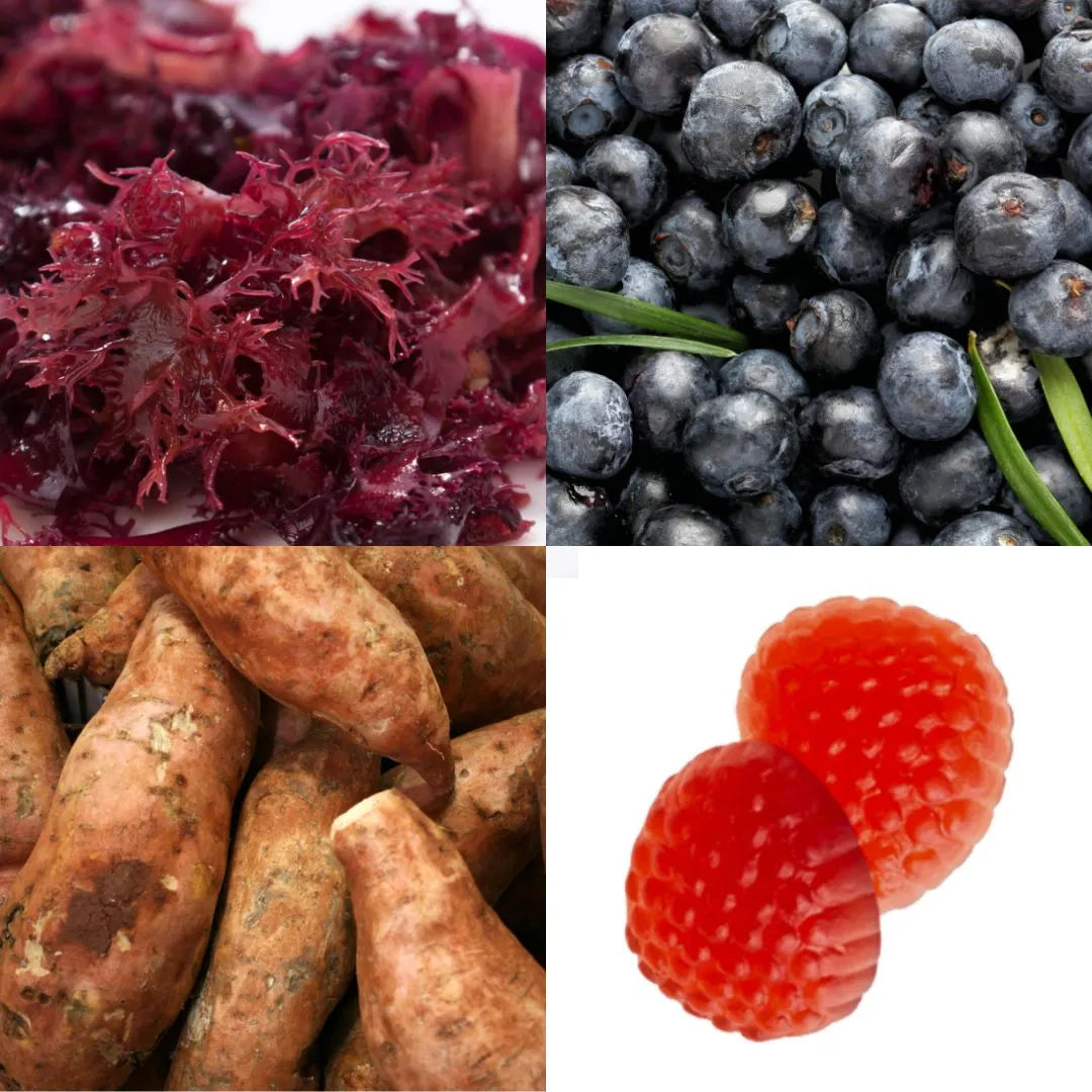 Manifesto Beauty Vitamin Gummies - Refill 30 days