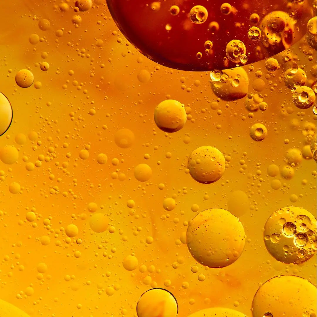 Moods, MoodSwings - Euphoric + Hustle