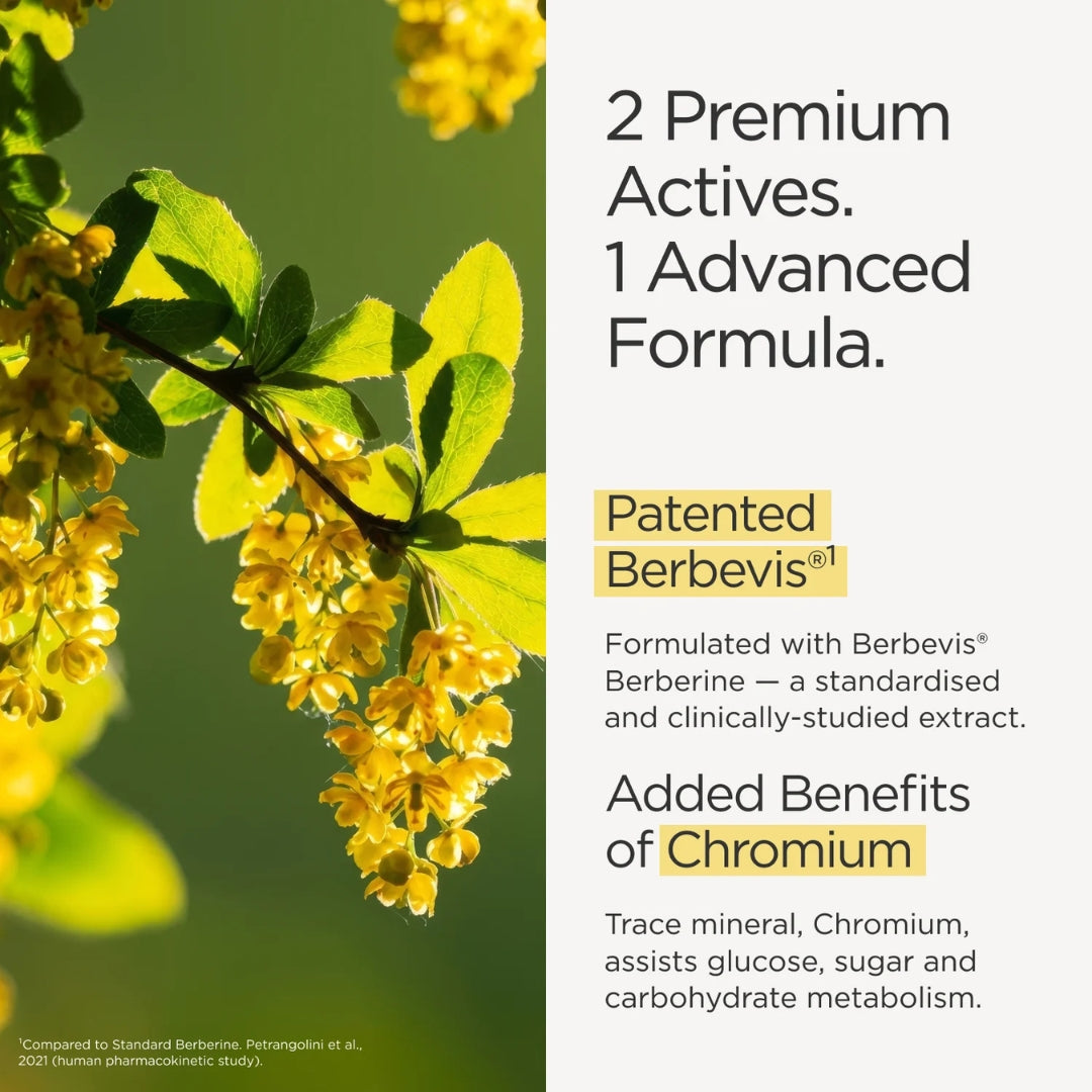 JSHealth Berberine+ Advanced Formula 60 Tablets – the JSHealth difference: why choose JSHealth infographic
