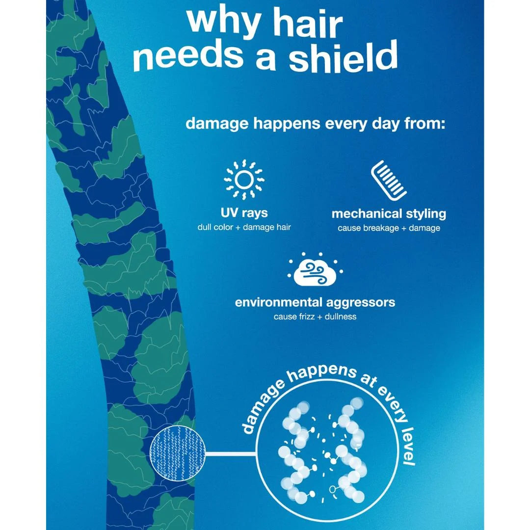 An informational graphic with the headline 'why hair needs a shield' on a blue background, listing factors that damage hair: UV rays, mechanical styling, environmental aggressors, and damage at every level, alongside a stylized map-like illustration and magnified hair-damage graphic.