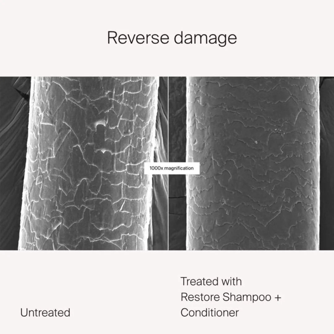Living Proof Restore Shampoo 236ml – how to use infographic: massage into wet hair, rinse and follow with Restore Conditioner