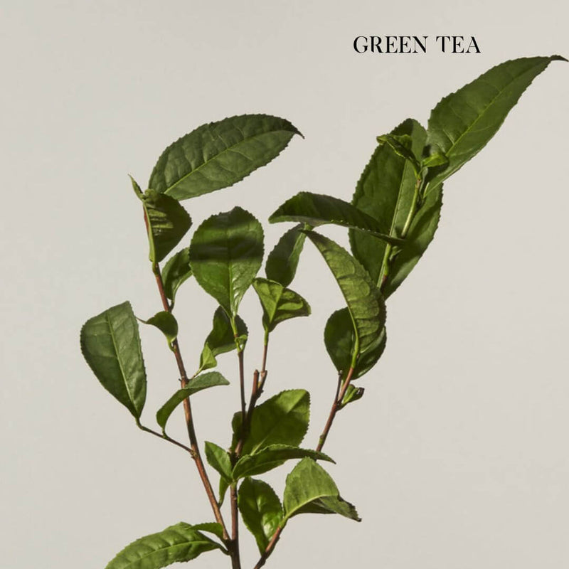 Zelens Tea Shot Serum with Green Tea